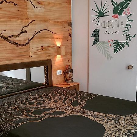 Clorofila House Glamping Naturista Ubatuba Exterior foto