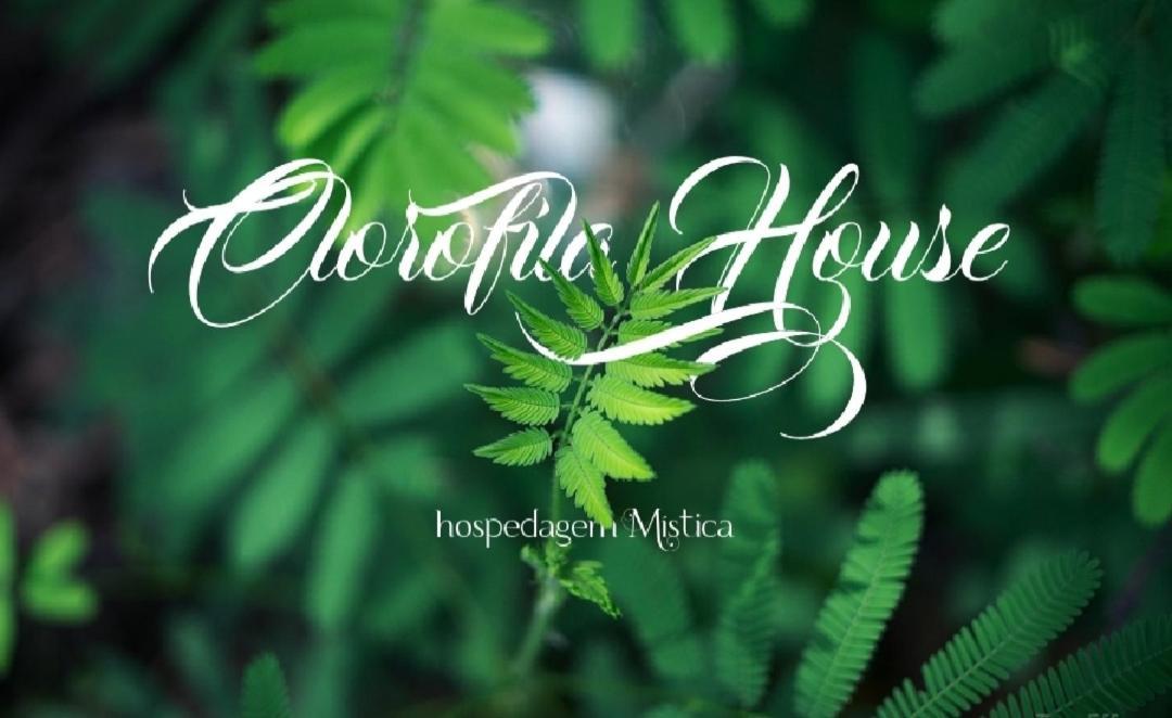 Clorofila House Glamping Naturista Ubatuba Exterior foto